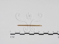登錄號:F0011799藏品圖，第1張