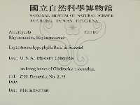 登錄號:F0011801藏品圖，第2張