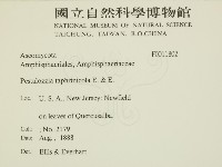 登錄號:F0011802藏品圖，第2張