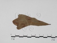登錄號:F0011802藏品圖，第3張