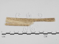 登錄號:F0011804藏品圖，第3張