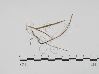 登錄號:F0011805藏品圖，第1張