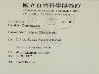 登錄號:F0011806藏品圖，第2張