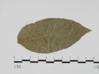 登錄號:F0011806藏品圖，第1張