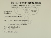 登錄號:F0011807藏品圖，第2張