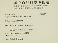 登錄號:F0011808藏品圖，第2張