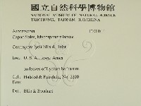 登錄號:F0011811藏品圖，第2張
