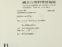 登錄號:F0011812藏品圖，第2張