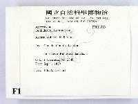登錄號:F0011813藏品圖，第2張