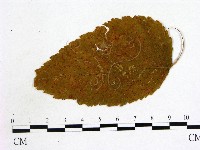 登錄號:F0011813藏品圖，第1張