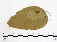登錄號:F0011813藏品圖，第3張