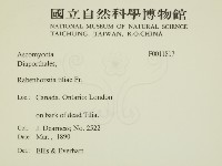 登錄號:F0011817藏品圖，第2張