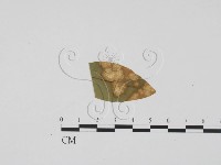 登錄號:F0011818藏品圖，第3張