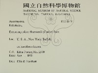 登錄號:F0011819藏品圖，第2張