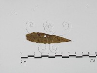 登錄號:F0011821藏品圖，第1張