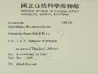 登錄號:F0011824藏品圖，第2張