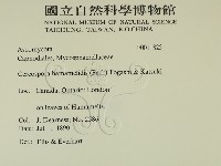登錄號:F0011825藏品圖，第2張