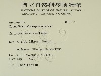 登錄號:F0011828藏品圖，第2張