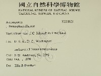 登錄號:F0011829藏品圖，第2張