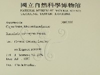 登錄號:F0011830藏品圖，第2張