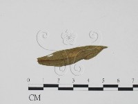 登錄號:F0011830藏品圖，第3張