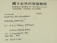 登錄號:F0011831藏品圖，第2張
