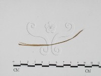 登錄號:F0011832藏品圖，第1張
