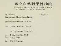 登錄號:F0011834藏品圖，第2張
