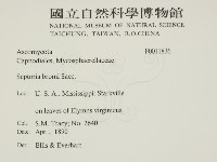 登錄號:F0011836藏品圖，第2張