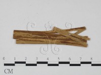 登錄號:F0011837藏品圖，第1張