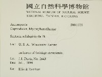 登錄號:F0011838藏品圖，第2張