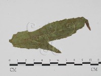 登錄號:F0011839藏品圖，第3張