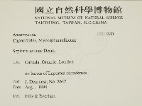 登錄號:F0011840藏品圖，第2張