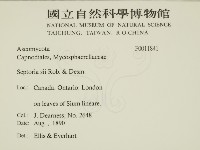 登錄號:F0011841藏品圖，第2張