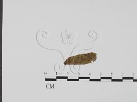 登錄號:F0011842藏品圖，第3張