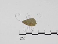 登錄號:F0011843藏品圖，第1張