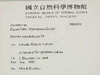登錄號:F0011844藏品圖，第2張