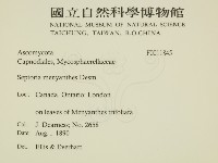 登錄號:F0011845藏品圖，第2張