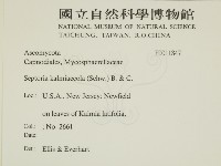登錄號:F0011847藏品圖，第2張