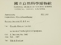 登錄號:F0011848藏品圖，第2張