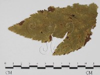 登錄號:F0011848藏品圖，第1張