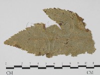 登錄號:F0011848藏品圖，第3張