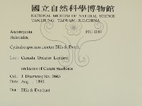 登錄號:F0011849藏品圖，第2張