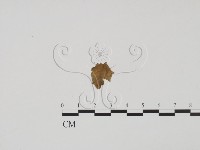 登錄號:F0011849藏品圖，第3張