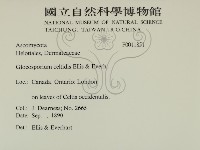登錄號:F0011851藏品圖，第2張