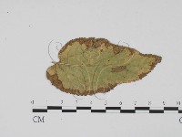 登錄號:F0011851藏品圖，第3張