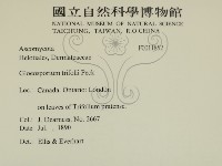 登錄號:F0011852藏品圖，第2張