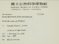 登錄號:F0011858藏品圖，第2張