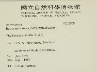 登錄號:F0011859藏品圖，第2張