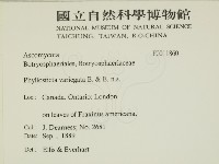 登錄號:F0011860藏品圖，第2張